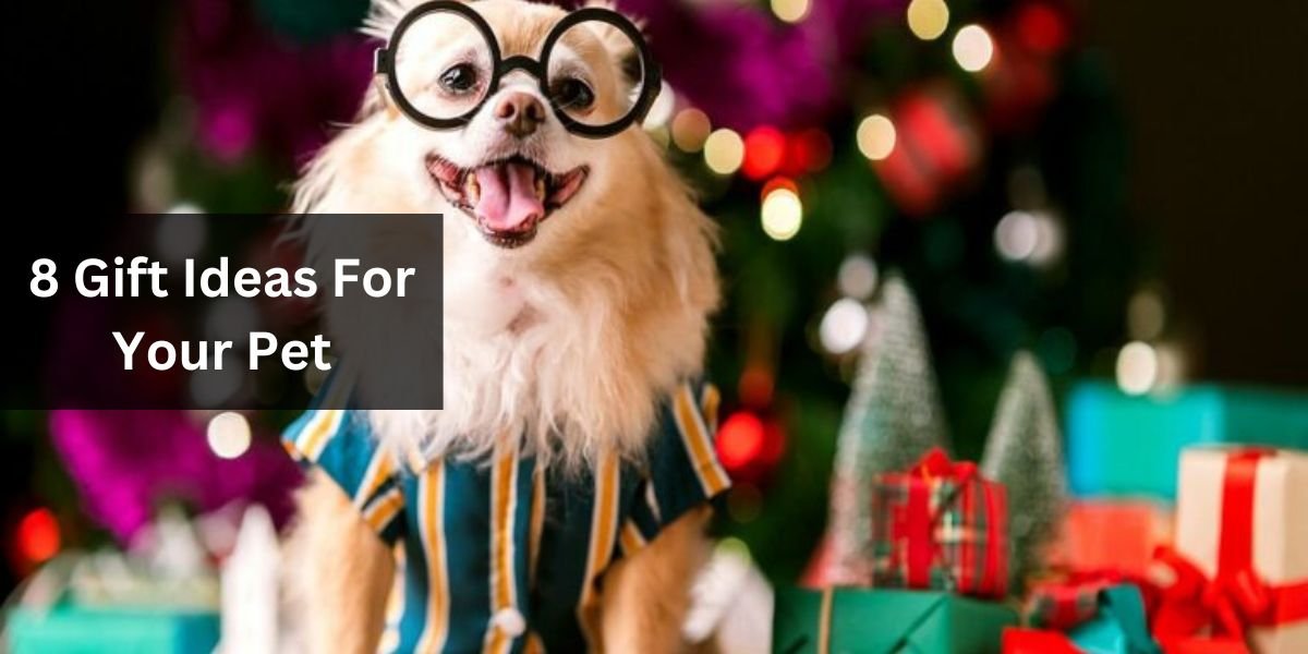 8 Gift Ideas For Your Pet
