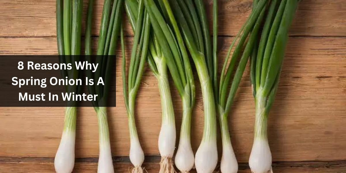 8 Reasons Why Spring Onion Is A Must In Winter
