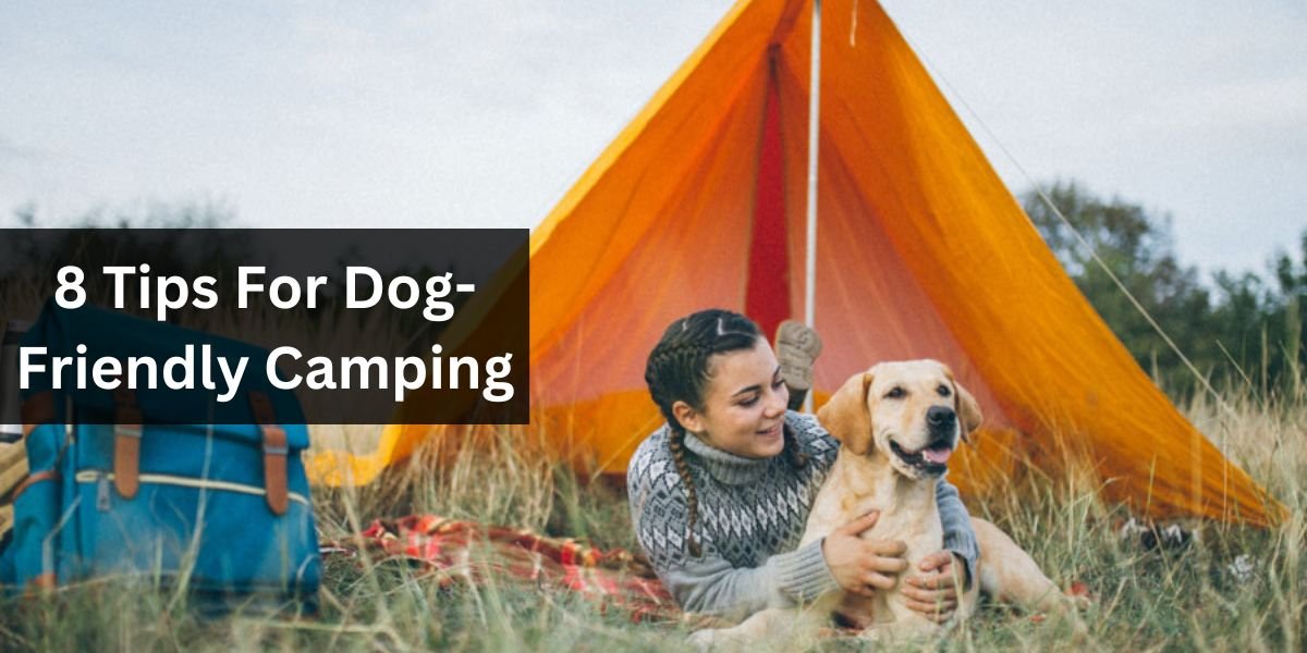 8 Tips For Dog-Friendly Camping